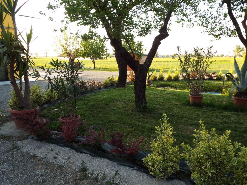 Praticello di Gattatico B&B Il Portico المظهر الخارجي الصورة